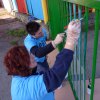 72_hodin_2012_slovensko_svidnik079