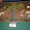 kiez_2012_170